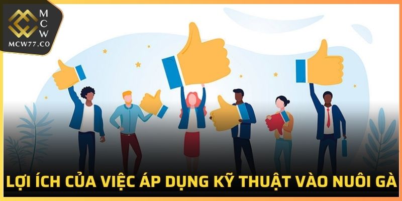 Lợi ích của việc áp dụng kỹ thuật vào nuôi gà