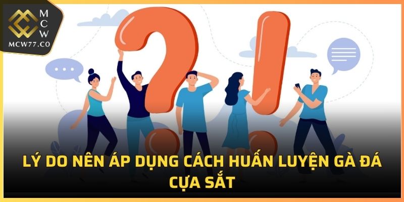 Lý do nên áp dụng cách huấn luyện gà đá cựa sắt