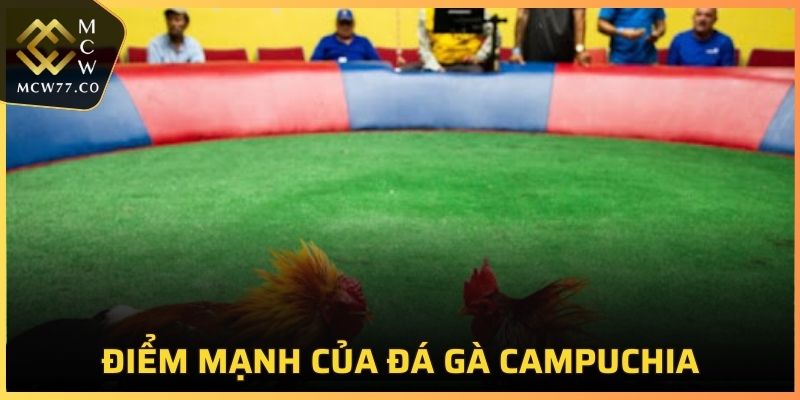 Các điểm mạnh trong loại hình đá gà Campuchia ngày nay