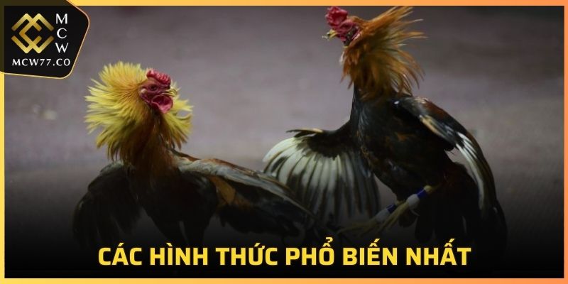 Các hình thức phổ biến nhất