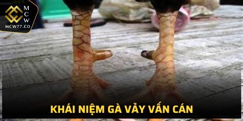 Các khái niệm cơ bản cần biết cho các sư kê