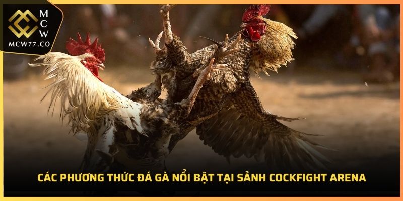 Các phương thức đá gà nổi bật tại Sảnh Cockfight Arena