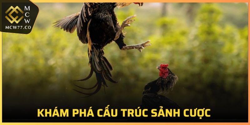 Các quy tắc trong sảnh thi đấu được xây dựng tỉ mỉ 