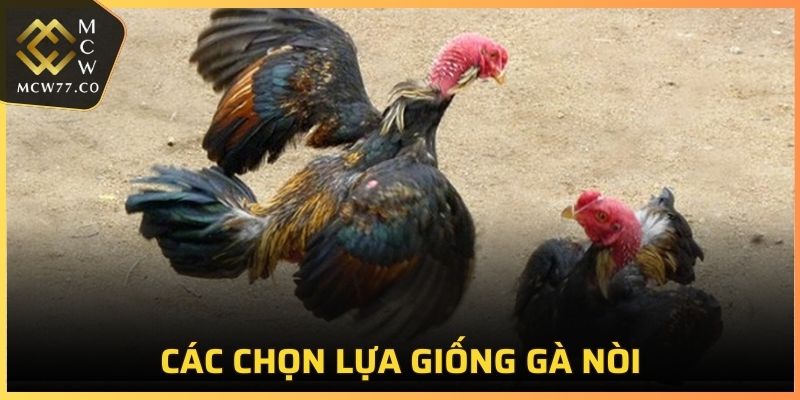 Cách lựa chọn giống phù hợp