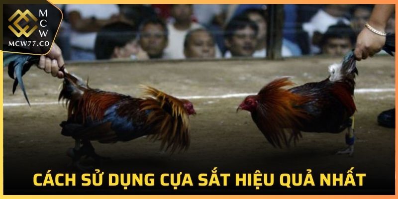 Cách sử dụng cửa sắt tối ưu nhất cho sư kê