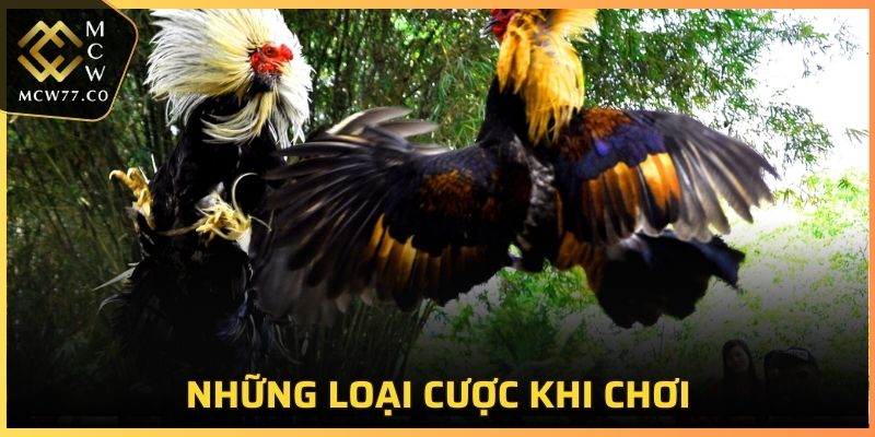 Chi tiết các loại cược tại SV388