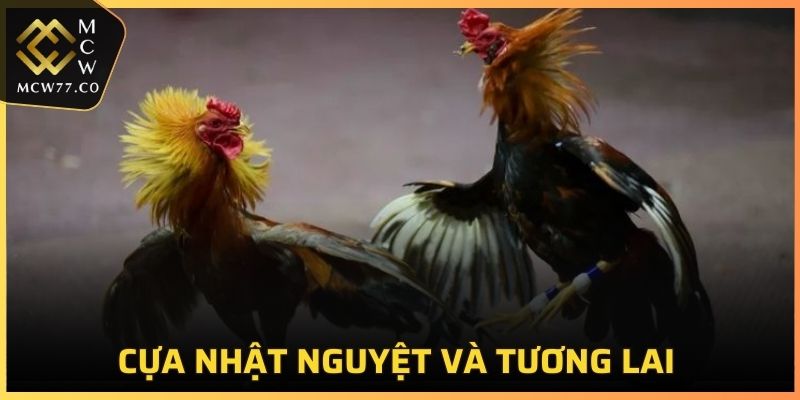 Cựa Nhật Nguyệt và tương lai