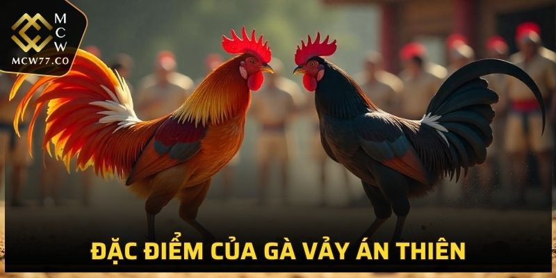 Đặc điểm dễ nhận thấy của gà sở hữu vảy án thiên