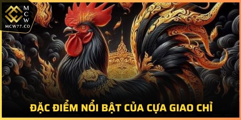 Đặc điểm nổi bật cựa giao chỉ