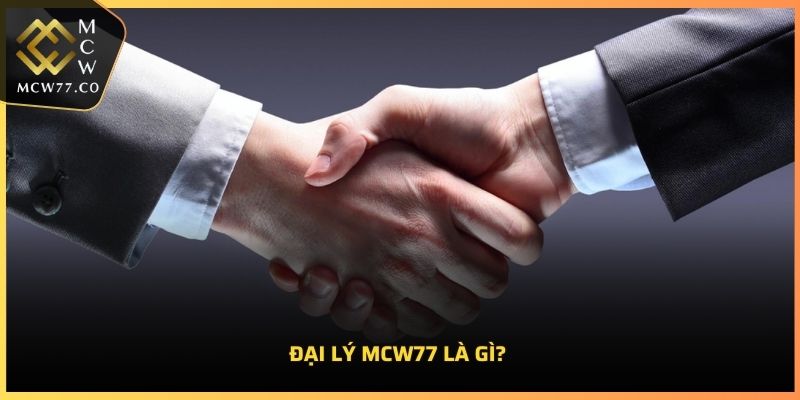 Đại lý MCW77 là gì?