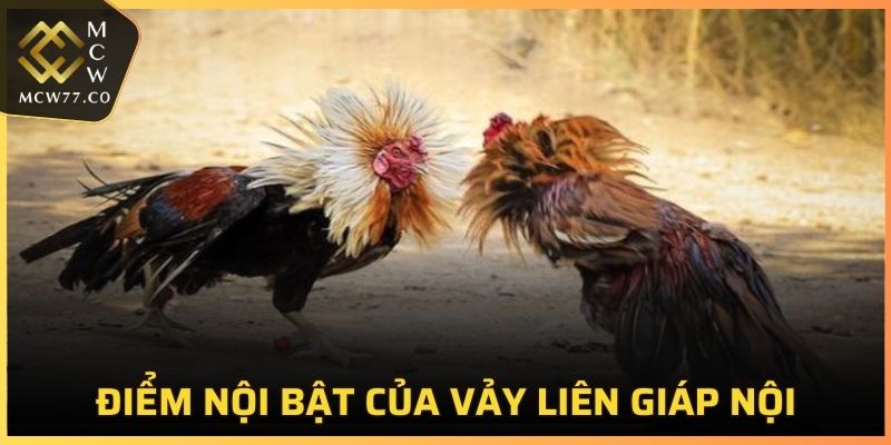 Chiên kê sở hữu vảy liên giáp nội có điểm nổi bật nào?