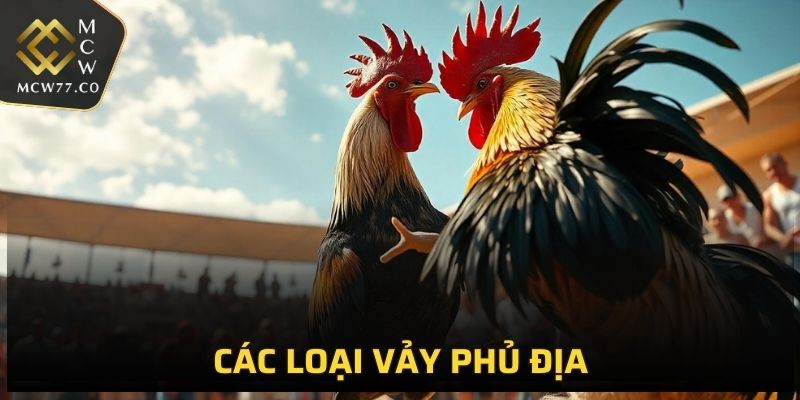 Giá trị của gà mang vảy Phủ Địa trên thị trường