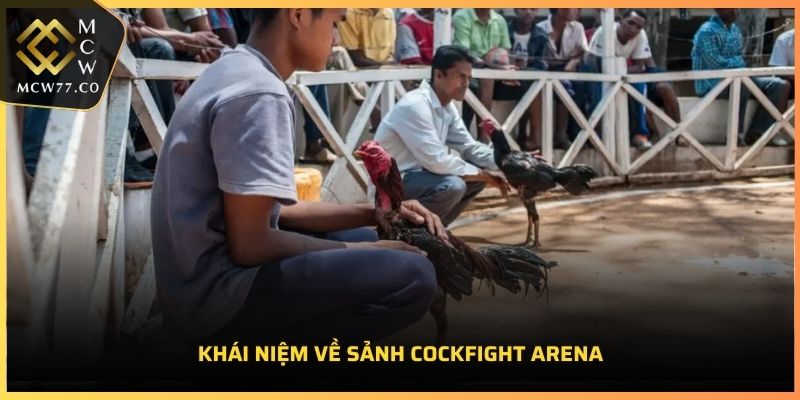 Khái niệm về Sảnh Cockfight Arena