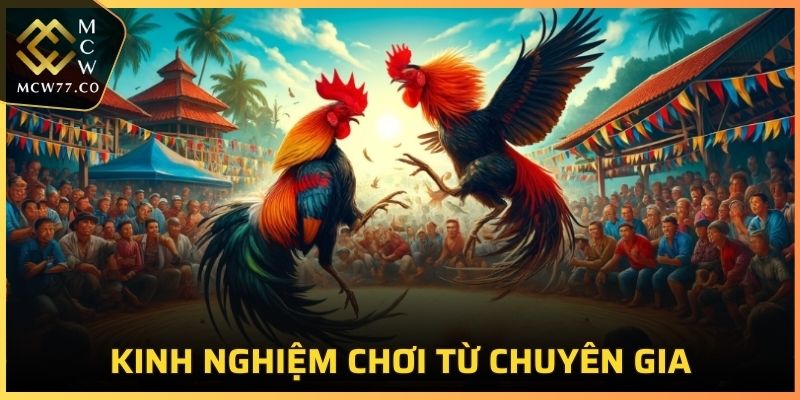 Kinh nghiệm chơi từ chuyên gia