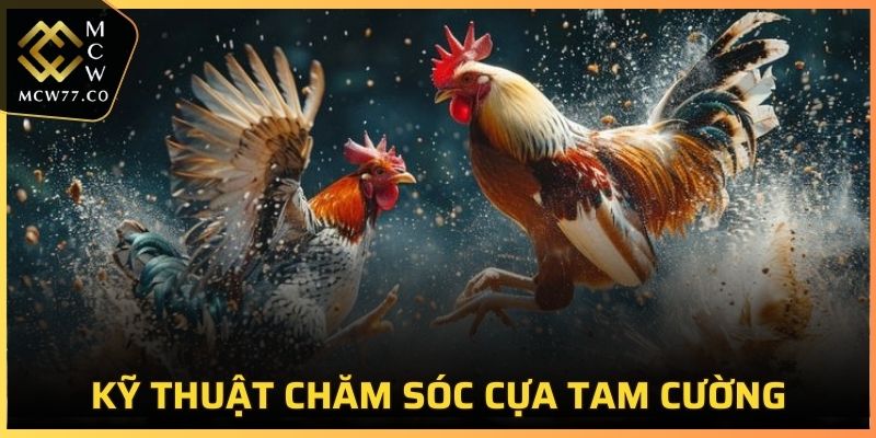 Kỹ thuật chăm sóc cựa Tam Cường