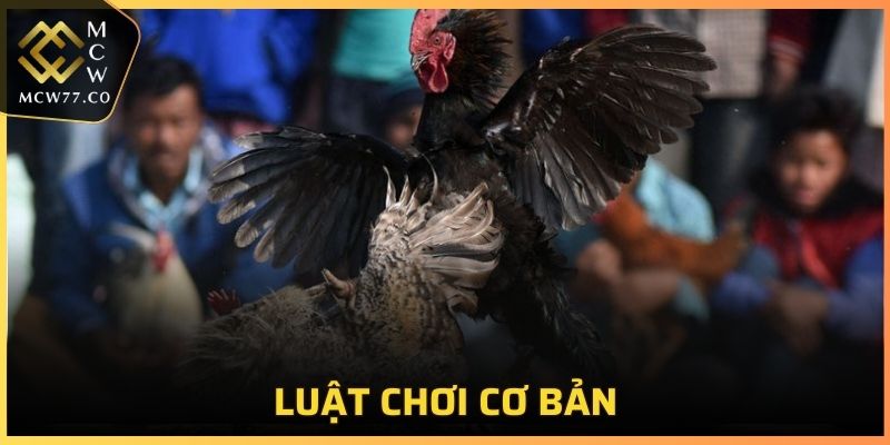 Luật chơi cơ bản