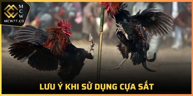 Lưu ý không thể bỏ qua khi sử dụng cựa sắt vào trận đấu