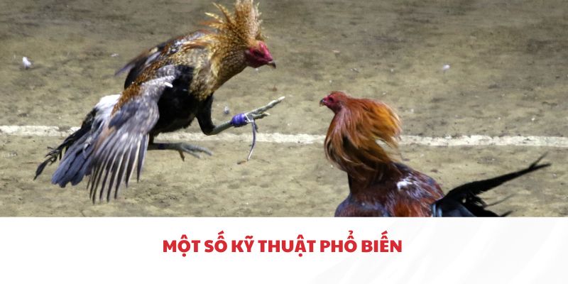 Một số kỹ thuật cơ bản