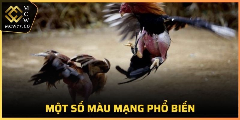 Một số màu mạng phổ biến