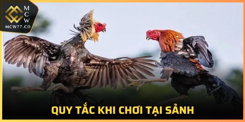 Quy tắc cần nắm vững khi tham gia