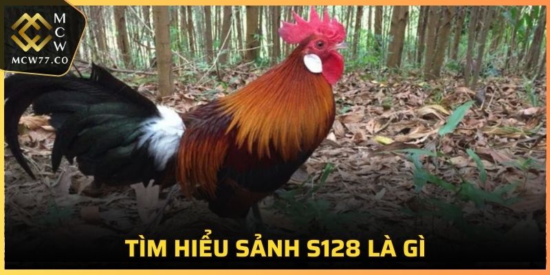 Giới thiệu cơ bản về sảnh S128 là như thế nào