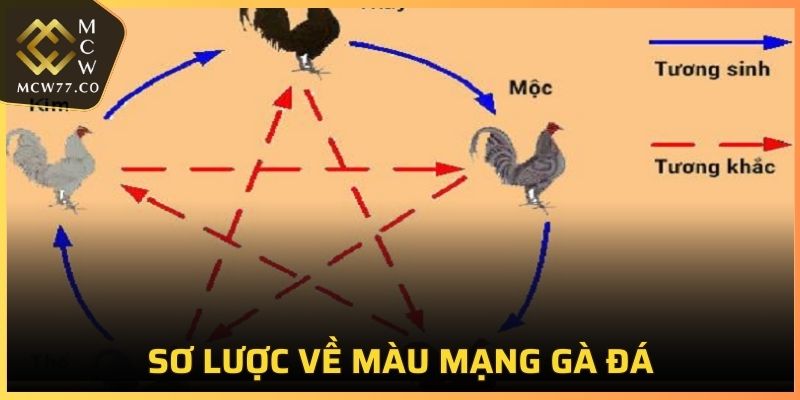 Sơ lược về màu mạng gà đá