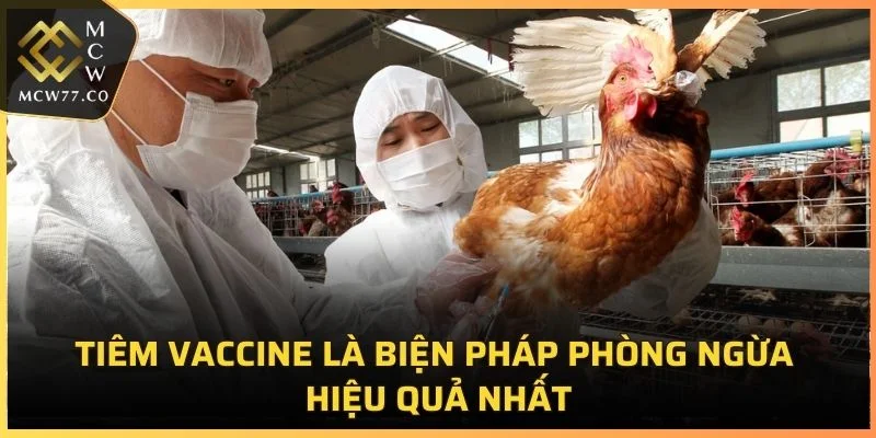 Tiêm vaccine là biện pháp phòng ngừa hiệu quả nhất