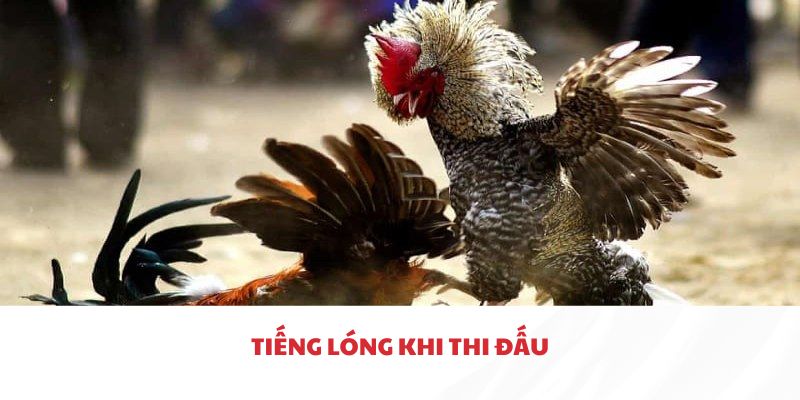 Tiếng lóng trong thi đấu