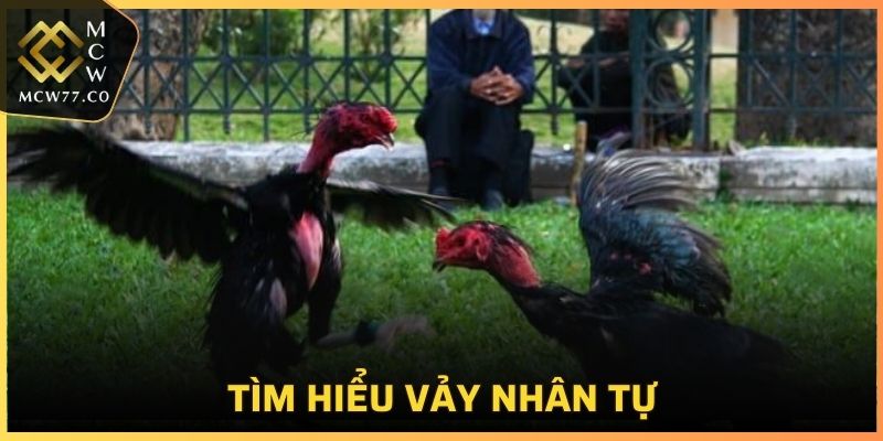 Tìm hiểu vảy nhân tự