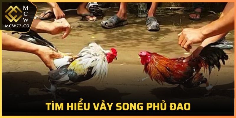 Tìm hiểu vảy song phủ đao