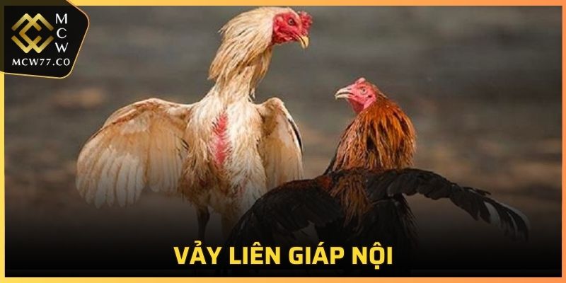 Vảy Liên Giáp Nội