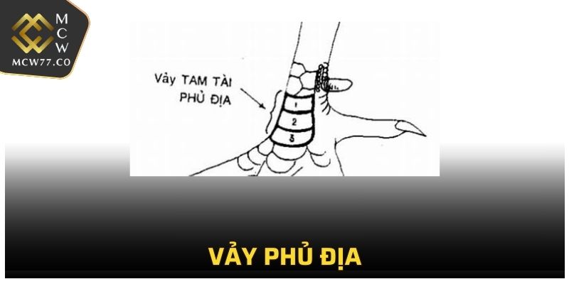 Vảy Phủ Địa