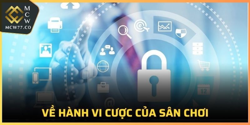 Về hành vi cược của sân chơi