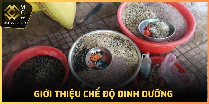 Được đánh giá là yếu tố không thể thiếu trong việc chăm sóc